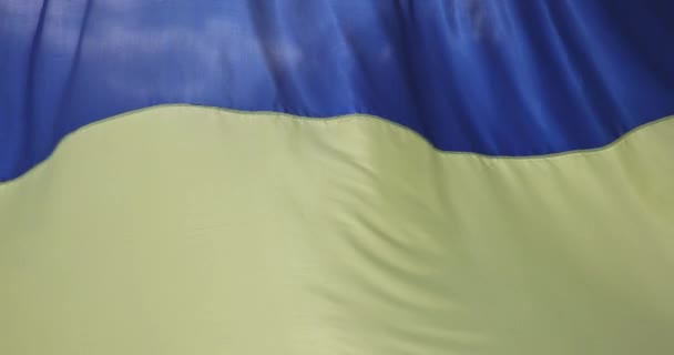 Прапор України Який Розмахують Синім Жовтим Вигнутим Прапором — стокове відео