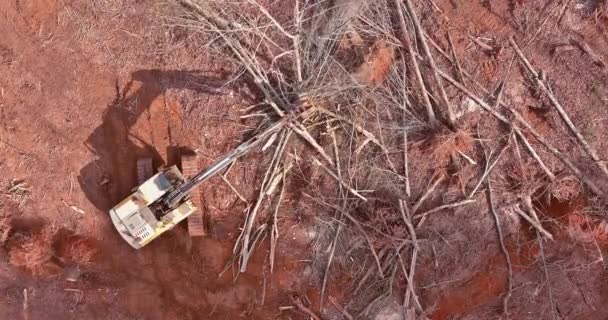 Ocak 2023 Wellford Abd Traktör Şantiyesi Kullanılarak Ağaçların Kaldırılması Sonucu — Stok video