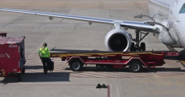 März 2023 Asheville Usa Verladen Von Gepäck Aus Einem Flugzeug — Stockvideo