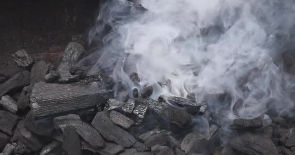 Připravte Grilovací Kouř Plameny Uhlících Kterých Bude Grilováno Maso — Stock video