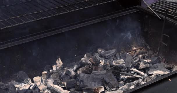 Preparar Barbacoa Para Asar Carne Sobre Carbones Llamas Parrilla — Vídeos de Stock