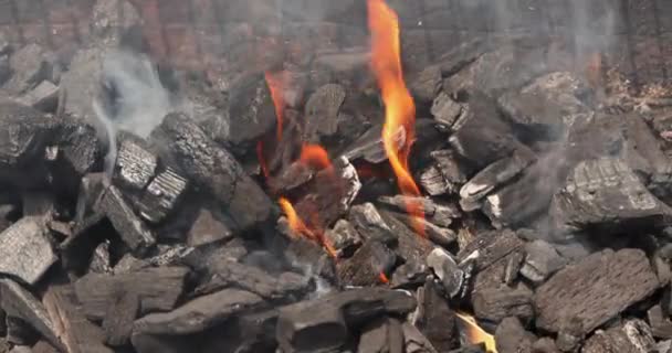 Рамках Процесу Гриля Важливо Готувати Вугілля Щоб Ясо Смажилося Над — стокове відео
