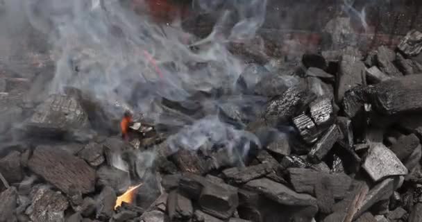 Використання Вугілля Гриля Яса Над Димом Полум Однією Найважливіших Речей — стокове відео