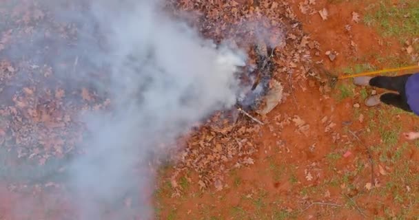 春の仕事中に裏庭で煙と炎で焼かれた紅葉の山 — ストック動画