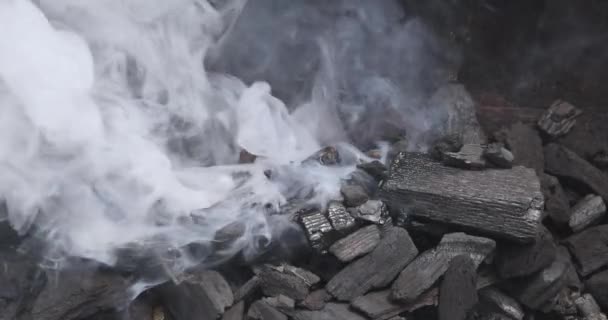 Fim Grelhar Carne Sobre Fogo Fumaça Importante Preparar Carvão Para — Vídeo de Stock