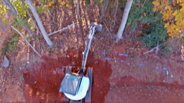 Mit Traktor Schleudern Wurden Bäume Von Grundstück Entwurzelt Platz Für — Stockvideo