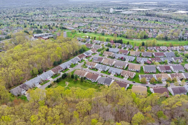 In an aerial view of small American town with houses and roads, spring trees are blooming.