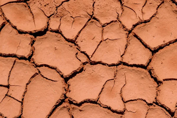 Fue Largo Período Sequía Que Causó Que Textura Del Suelo — Foto de Stock