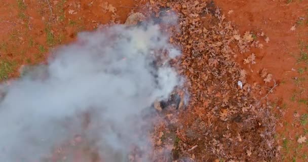 Pile Foglie Autunnali Secche Viene Bruciato Dalle Fiamme Fumo Cortile — Video Stock