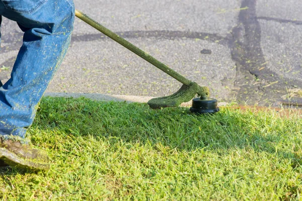 An employee of municipal worker mows fresh green grass on roadside with lawnmower