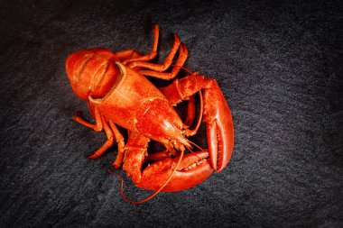 Lezzetli, taze haşlanmış, siyah taşta kırmızı ıstakoz.