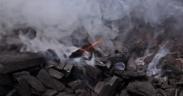 Preparação Para Churrasco Carvão Fumaça Chamas Que Carne Será Grelhada — Vídeo de Stock