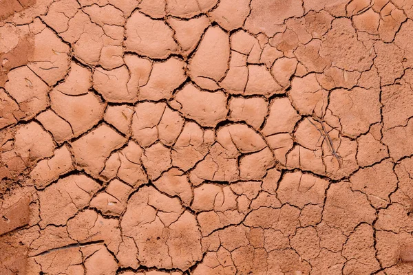 Hay Grandes Grietas Superficie Después Período Prolongado Sequía — Foto de Stock