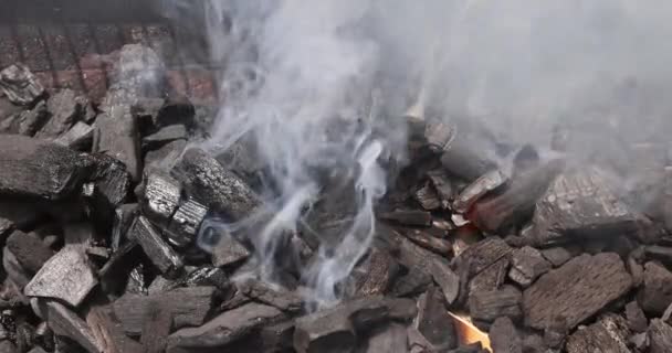 Preparare Barbecue Grigliare Carne Carboni Fiamme — Video Stock