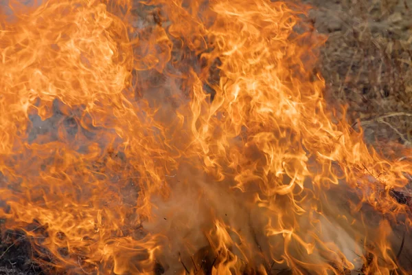 Υπάρχουν Μεγάλες Φλόγες Που Καλύπτουν Νέφος Μια Οικολογική Καταστροφή Καθώς — Φωτογραφία Αρχείου