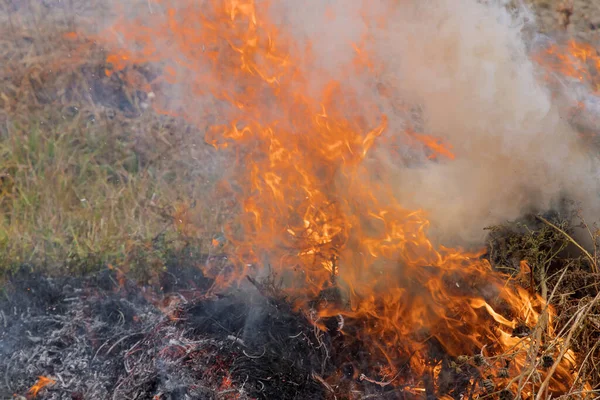 在春天 你可以看到田野在大火中燃烧着干草 大火熊熊燃烧在生态灾难的浓雾之上 — 图库照片
