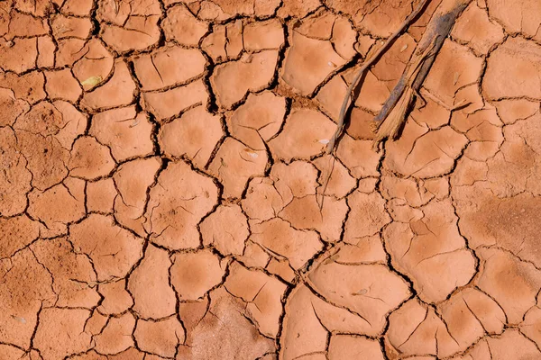 Después Largo Período Sequía Hay Grandes Grietas Suelo — Foto de Stock