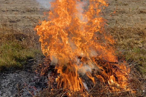 Ανοιξιάτικο Λιβάδι Καίγεται Καθώς Μεγάλες Φλόγες Κατακλύζουν Μια Οικολογική Καταστροφή — Φωτογραφία Αρχείου