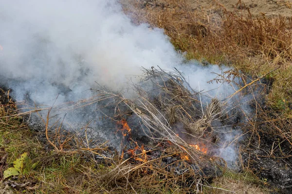 Bahar Tarlası Yangında Kurumuş Çimenleri Yakıyor Ekolojik Felakette Sis Üzerinde — Stok fotoğraf