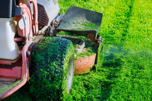 Ketika Memotong Rumput Hijau Sekitar Rumah Dengan Mesin Pemotong Rumput — Stok Foto