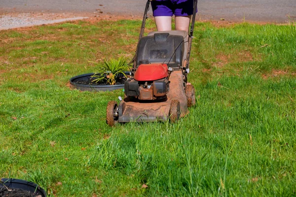 Selama Memotong Rumput Hijau Halaman Belakang Dengan Mesin Pemotong Rumput — Stok Foto