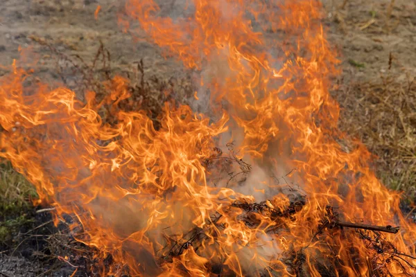 Een Ecologische Catastrofe Heeft Plaatsgevonden Het Voorjaarsveld Dat Brand Staat — Stockfoto