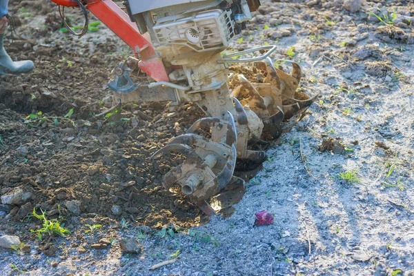 Çiftçi Bahçe Toprağında Toprak Ekimi Için Dümen Bloğu Ekme Makineleri — Stok fotoğraf