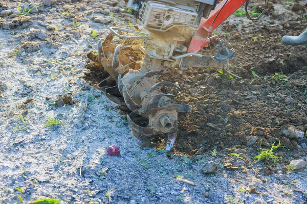 Farmer Man Plows Land Cultivator Machinery Soil Cultivation Garden Soil — Stock Photo, Image