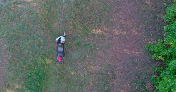 Woman Using Lawn Mower Mow Green Lawn Her Backyard Her — Stock Video