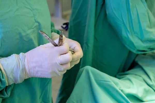 外科医生戴手套的手配备无菌钳针钳 在外科手术中显示出精确的灵活性 — 图库照片