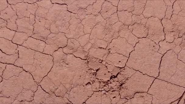干ばつ地の長い期間の間に外観に乾燥している大きなクラックテクスチャを開発しました — ストック動画