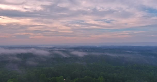 Ранковий Туман Вейл Додає Таємницю Безтурботного Висотного Лісу — стокове відео