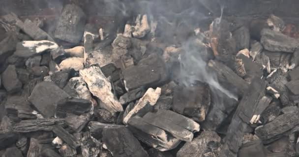 Důležité Připravit Uhlíky Aby Používaly Grilování Masa Nad Kouřem Plameny — Stock video