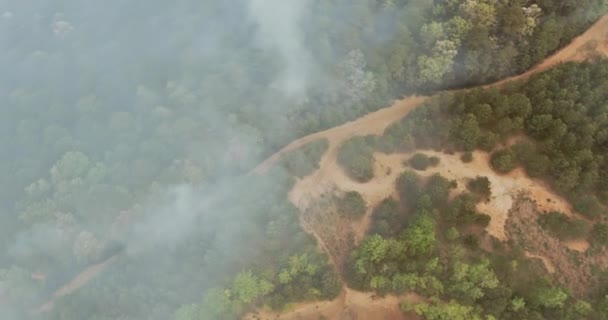 Леса Канады Часто Страдают Пожаров Является Серьезной Проблемой — стоковое видео
