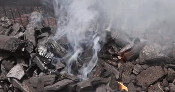 Připravit Grilování Masa Uhlí Plameny — Stock video