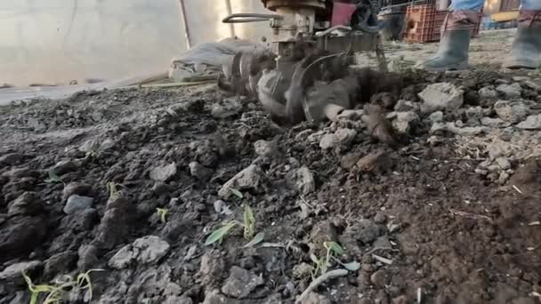 農家の庭では 彼はモーター栽培のティラーブロックを使用して地面を耕しました — ストック動画