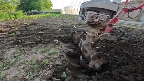 Landwirt Pflügt Land Mit Grubber Maschinen Für Bodenbearbeitung Gartenboden Mit — Stockvideo