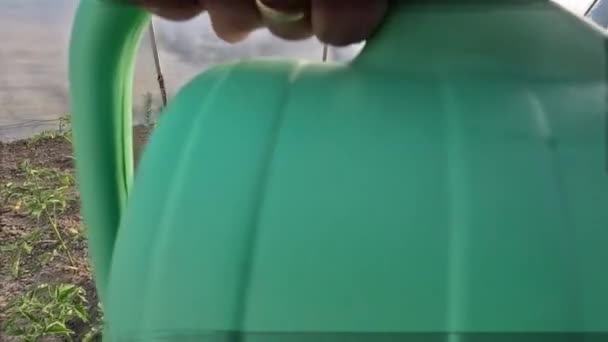 Sulama Kabını Sera Bahçesindeki Domatesleri Sulamak Için Kullanıyor — Stok video