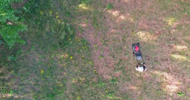 Kadın Evinin Önünde Çim Biçme Makinesiyle Arka Bahçesinde Çim Biçiyor — Stok video