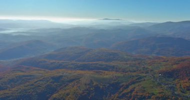 Karpatlar 'ın dağ ormanları vadisinde sabahın erken saatlerinde sisli sonbahar sahnesiyle