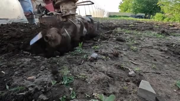 농부는 밭에서 재배자를 사용하여 블록을 사용하여 — 비디오