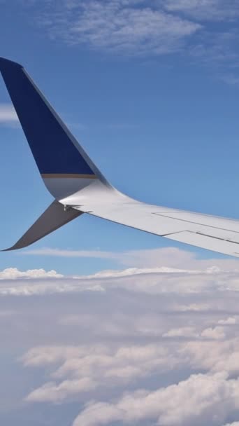 Fenêtre Avion Volant Aile Glisse Gracieusement Sur Majestueuse Immensité Ciel — Video