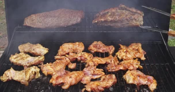 Asar Carne Res Cerdo Pollo Parrilla Barbacoa Una Deliciosa Manera — Vídeos de Stock