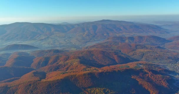 Carpathians Mountain Valley Autumn Especially Morning Forest Misty Fog — Stock Video