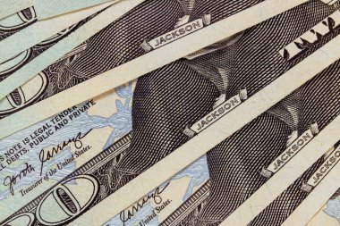 Ön tarafı kapatın. 20 kağıt dolar. Amerika Birleşik Devletleri banknotları.