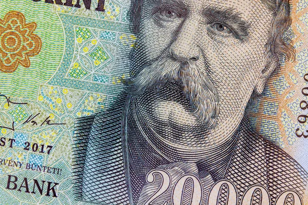 Hungary Twenty Thousand Forint Cash Banknote Ferenc Deak Kehida Hungarian — Stock Photo, Image