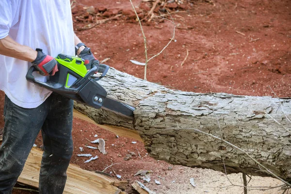 stock image Woodcutter in forest clearing using chainsaw sawing in motion, sawdust fly to sides