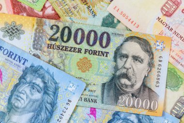 Macaristan 'da farklı boyutlarda yasal ihale kabul edilen HUF nakit forts yakın plan.
