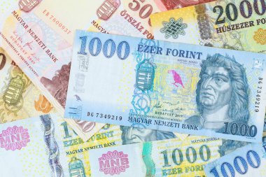 Macarca formülü Macaristan 'ın resmi para birimini farklı değerlerde biçimlendirdi.