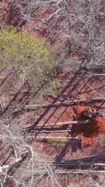 Bäume Werden Entwurzelt Und Mit Traktor Für Den Bau Vorbereitet — Stockvideo